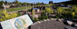 Beacon P Patch Seattle washington agriculture regenerative natural farming local communities farming nature food image photo on the peoples hub