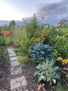Eastlake P Patch in Seattle Washington photo on the peoples hub
